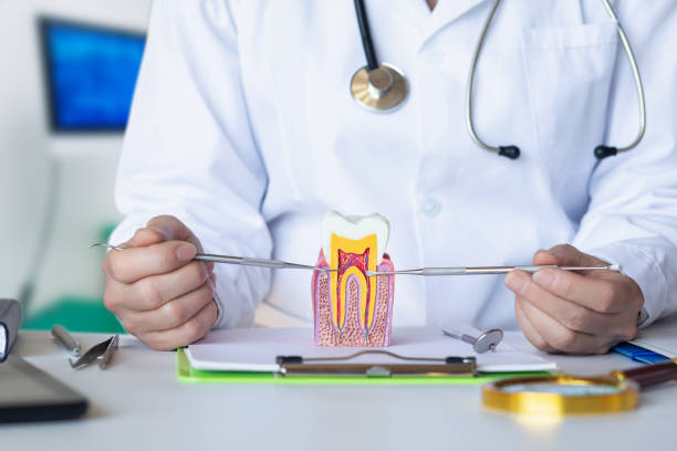Best Emergency Dental Care for Abscessed Tooth in Newk, AR